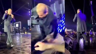 سقوط عمرو دياب على المسرح خلال حفل في القاهرة watanserb.com