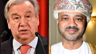 خبير استراتيجي سعودي يدعو لعدم الانصياع لجهود سلطنة عمان والأمم المتحدة watanserb.com