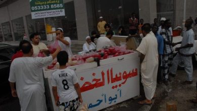 السوبيا watanserb.com