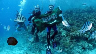 البحر الاحمر watanserb.com