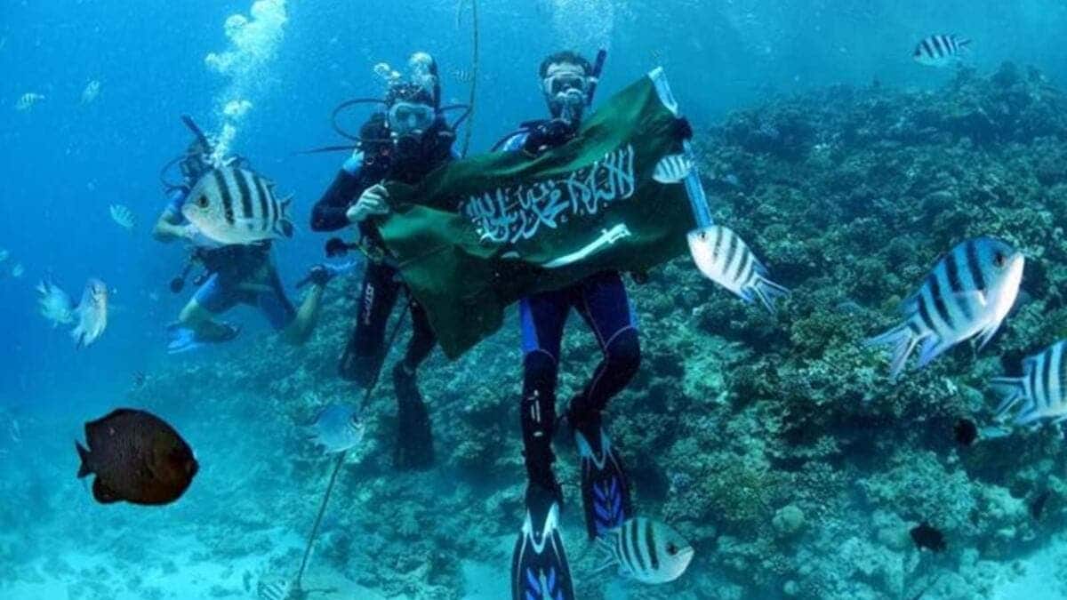 البحر الاحمر watanserb.com