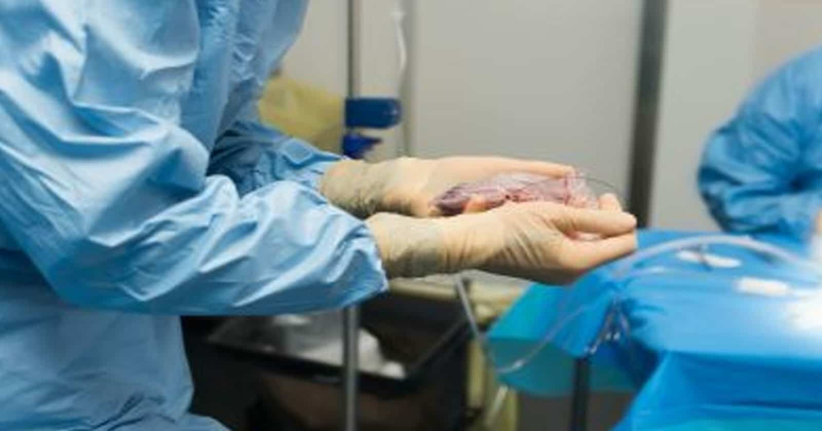 وفاة منيرة المقبالي watanserb.com