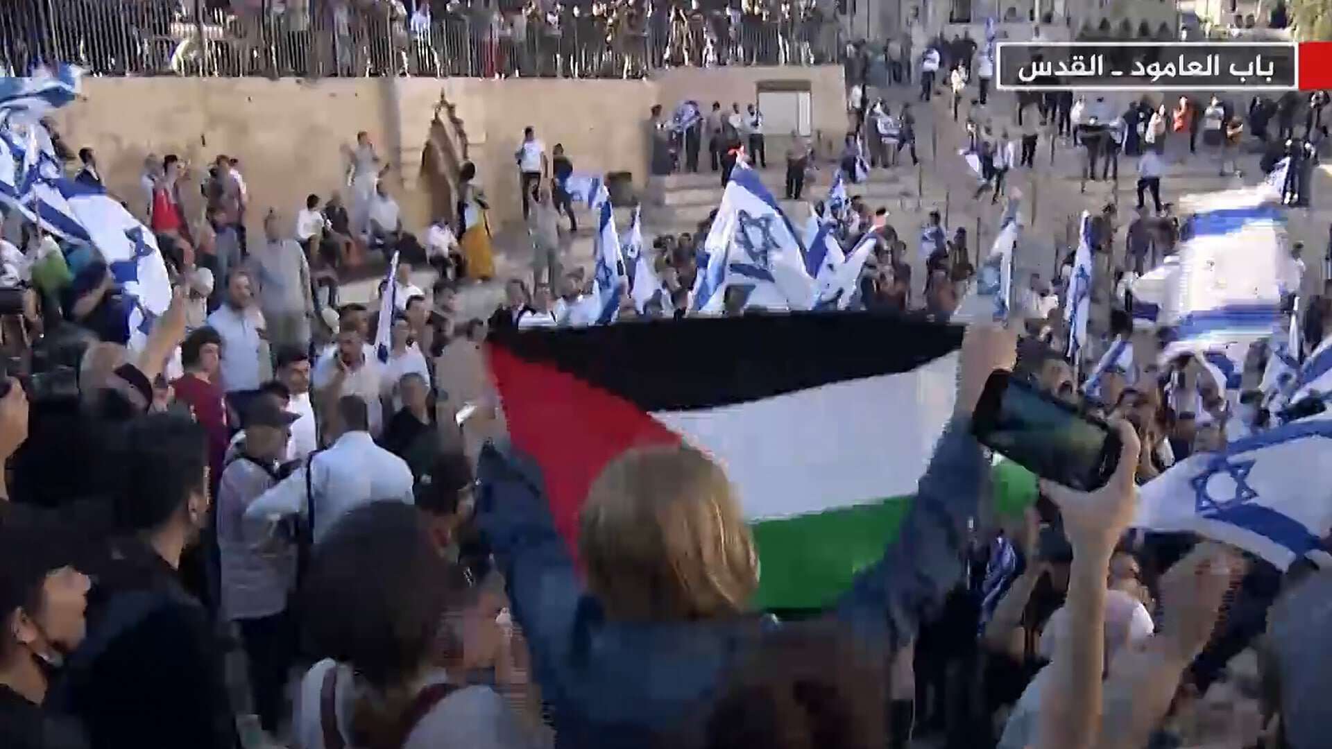 هالة أبو غربية تتحدى الاحتلال watanserb.com