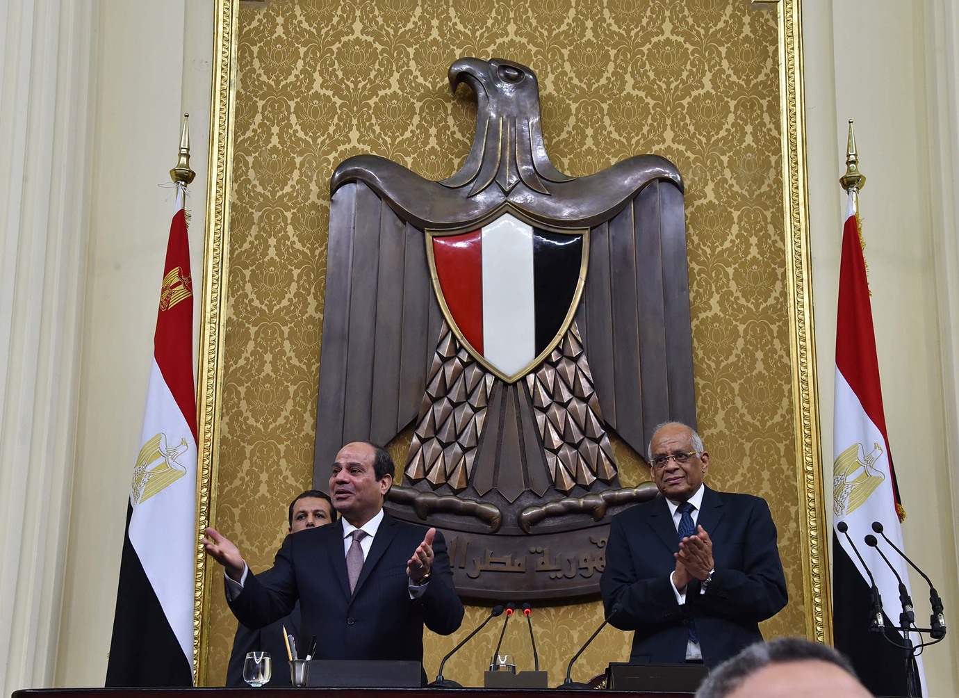 عبدالفتاح السيسي في مجلس النواب المصري watanserb.com
