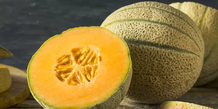 فوائد الشمام