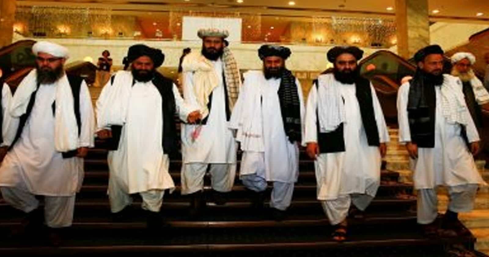 الإمارات وطالبان watanserb.com