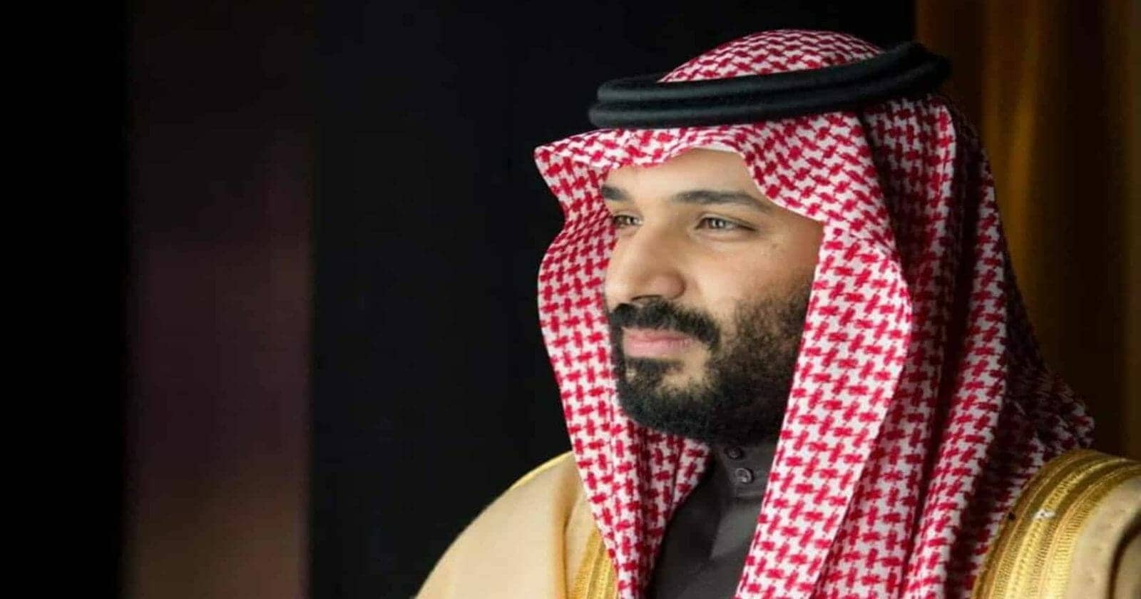 نظام المهداوي ومحمد بن سلمان watanserb.com