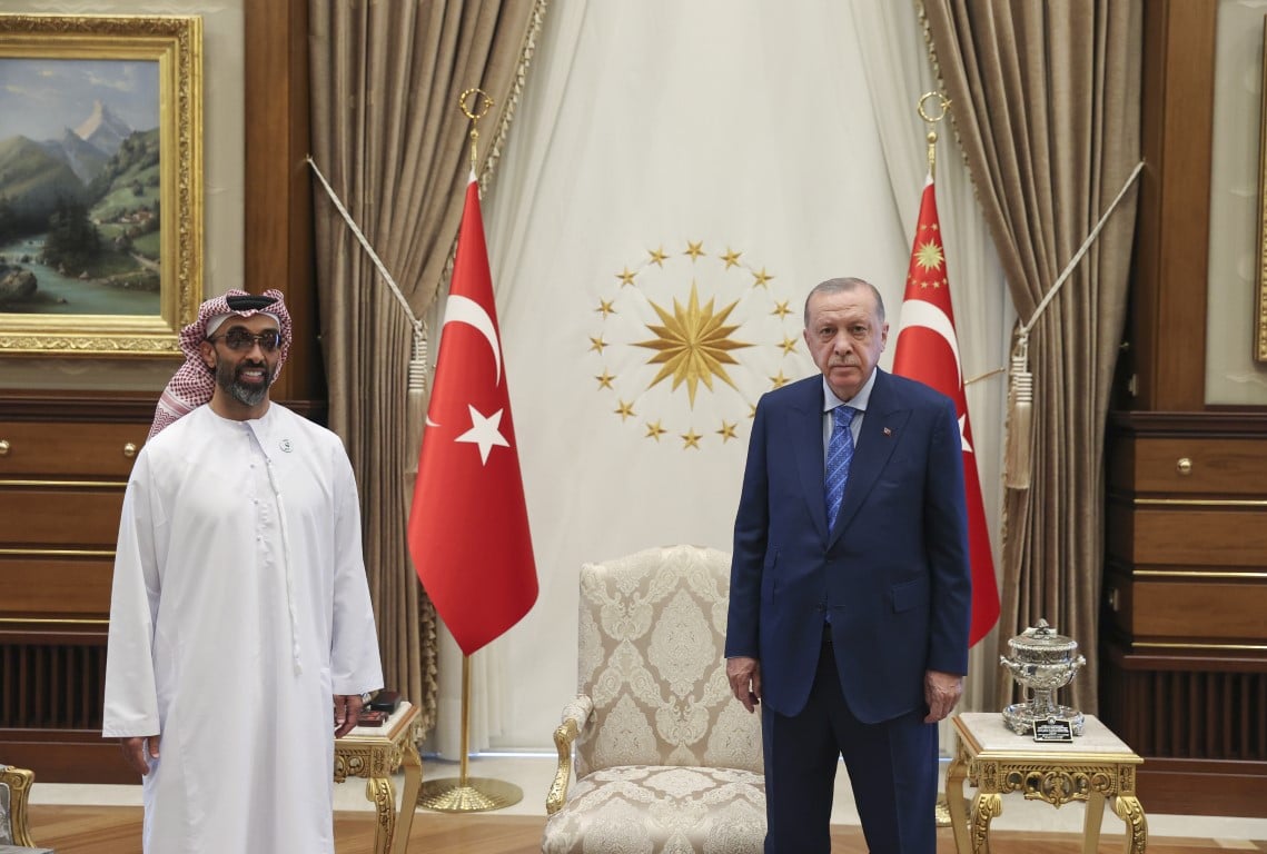 طحنون بن زايد والرئيس التركي رجب طيب أردوغان