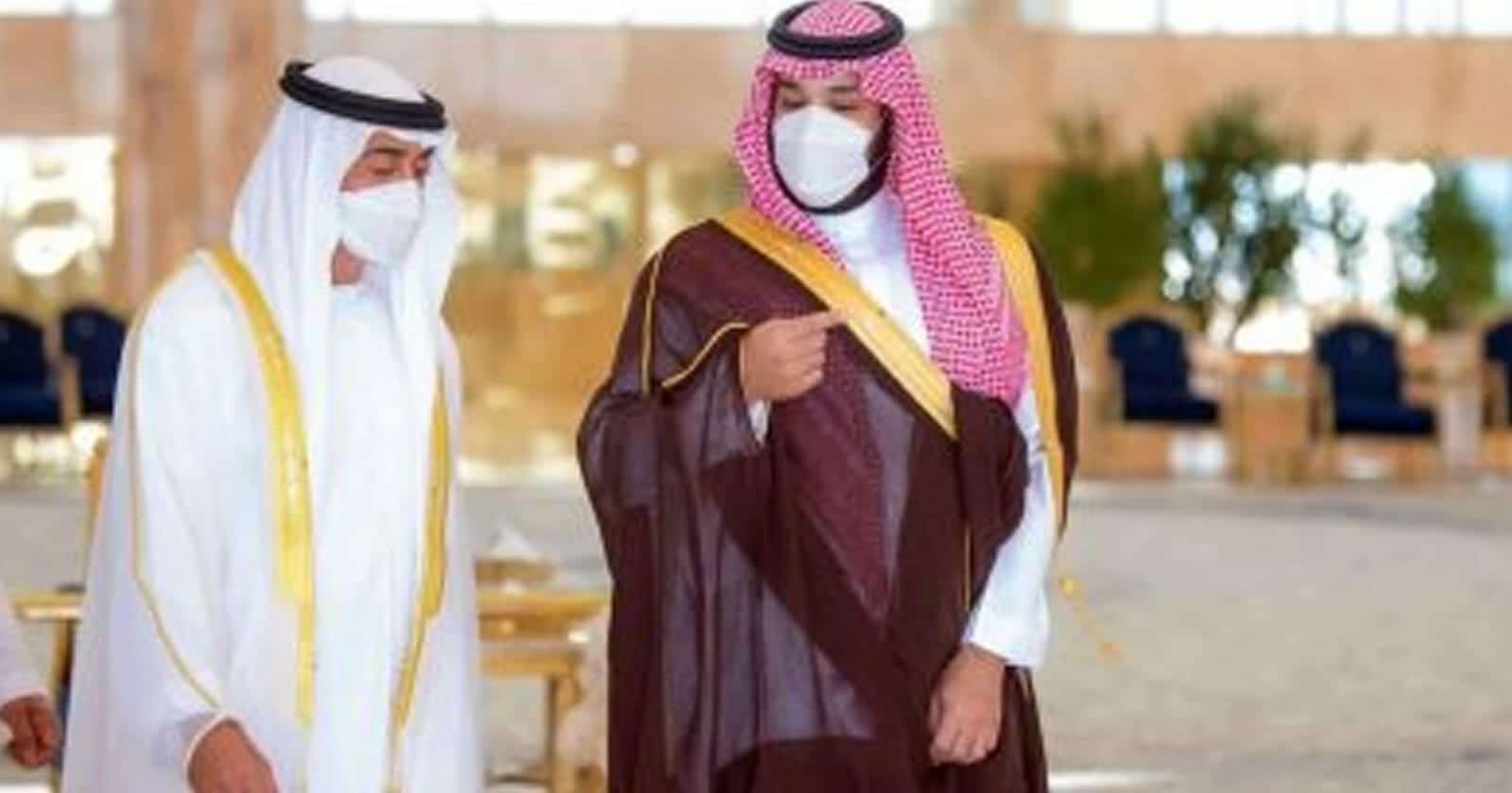محمد بن سلمان ومحمد بن زايد watanserb.com
