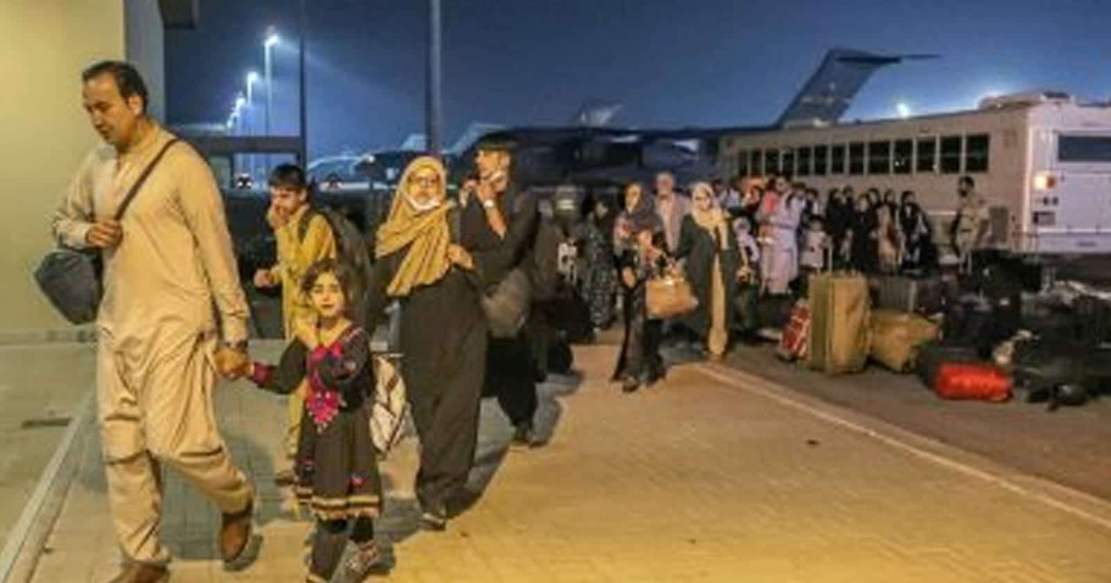 اللاجئين الأفغان في قطر watanserb.com