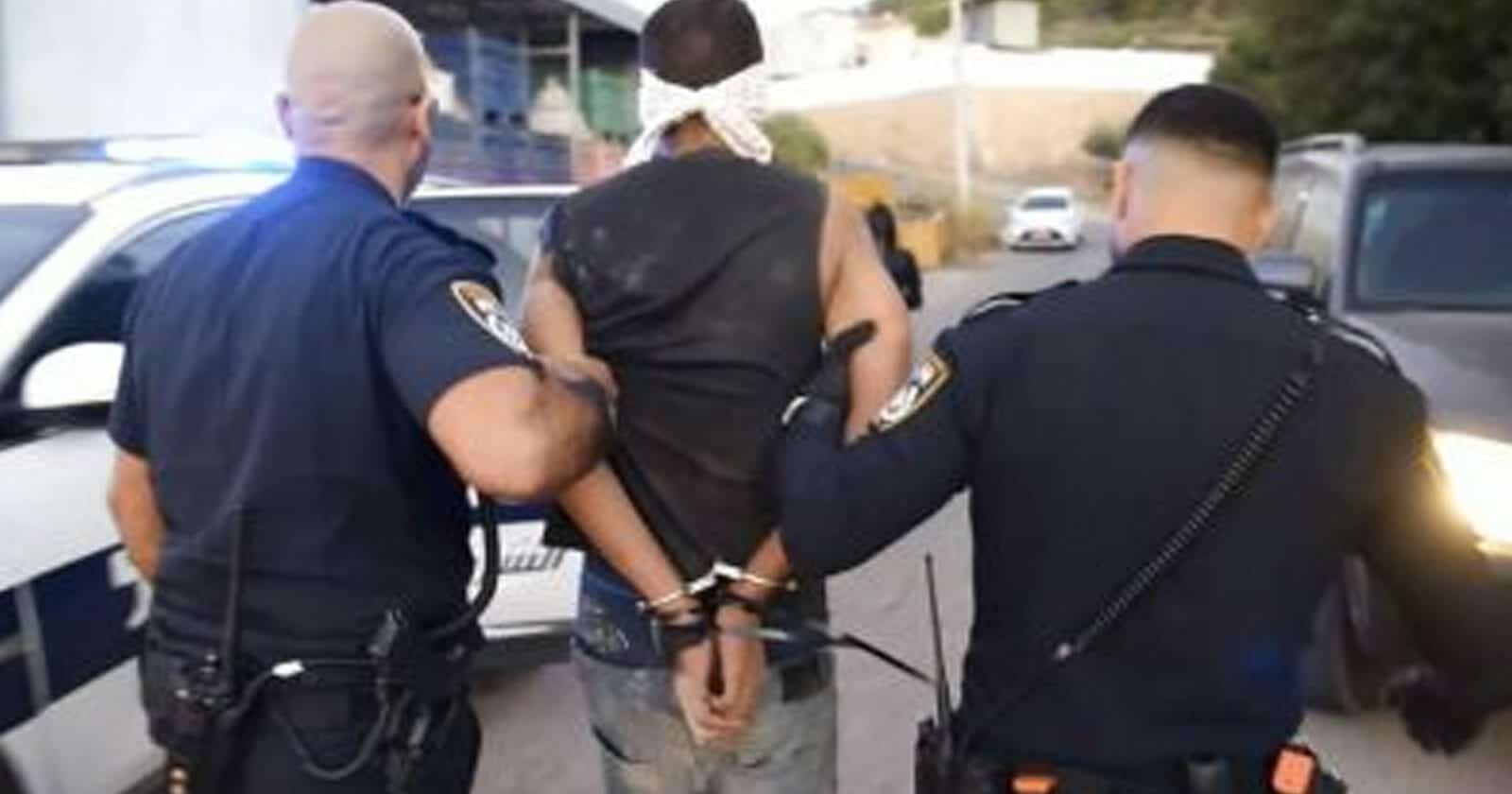 زكريا الزبيدي ومحمد العارضة watanserb.com