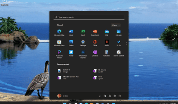 مظهر Windows 11 الجديد