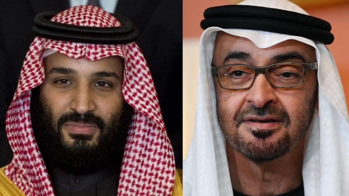 وراء الاستيلاء على السلطة في السودان وتونس ظل الملكيات الخليجية الإمارات والسعودية watanserb.com