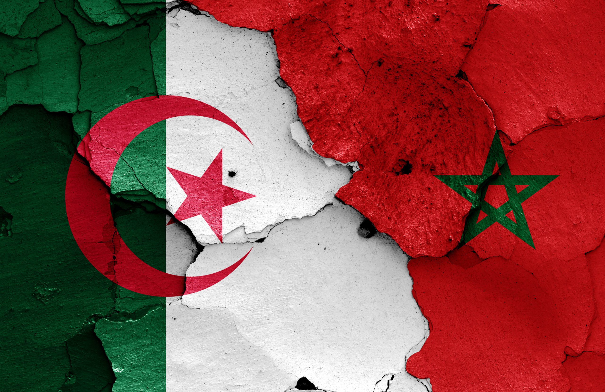 الكاتب الصحفي الجزائري عثمان لحياني يؤكد لصحيفة وطن أن هناك تحالف بين المغرب والموساد watanserb.com