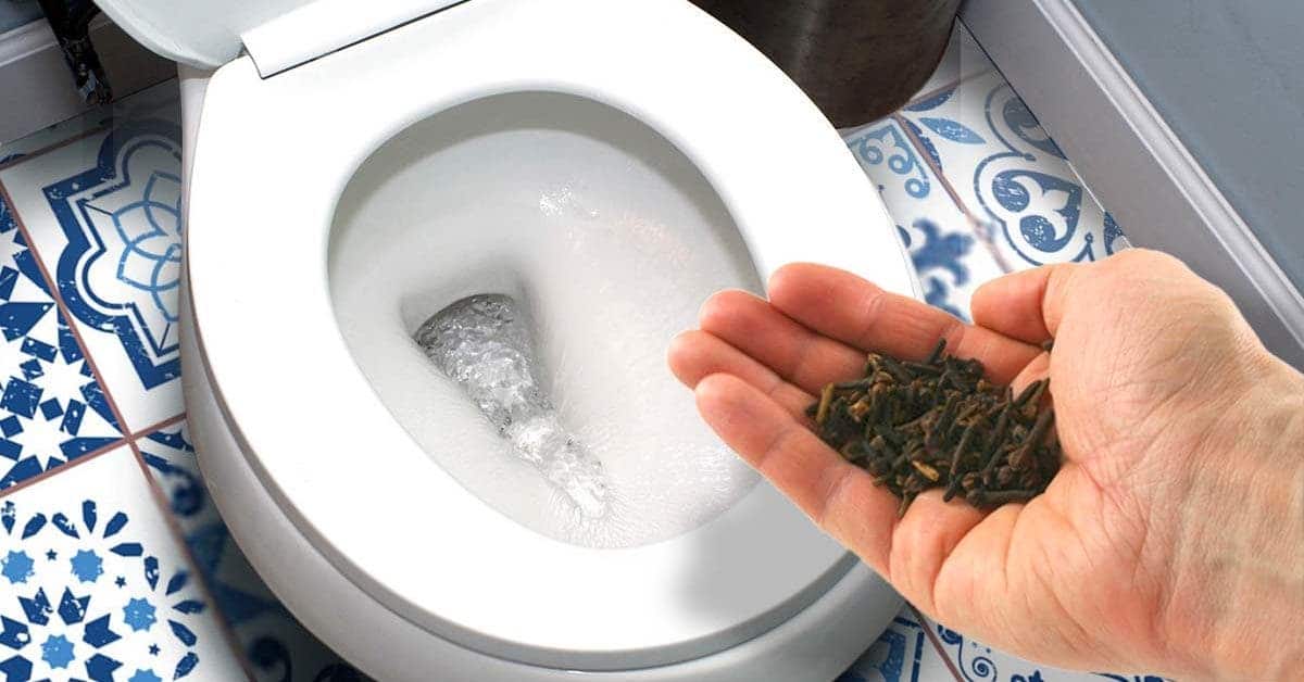 حيلة عبقرية للتخلص من رائحة البول في الحمام! watanserb.com