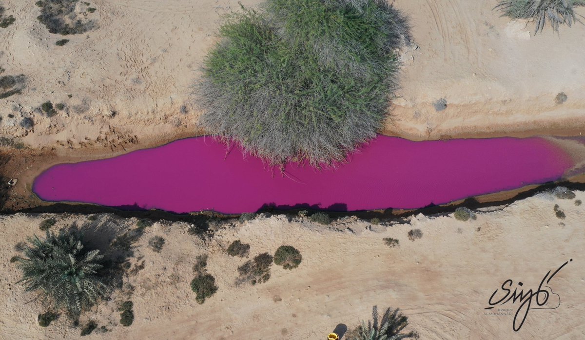 مياه عين الثقب شمال قطر تتحول إلى اللون الوردي watanserb.com