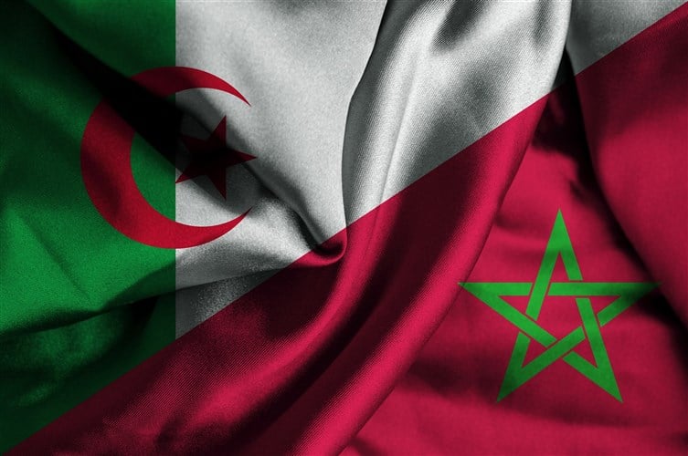 توقعات ميشال حايك للمغرب والجزائر watanserb.com