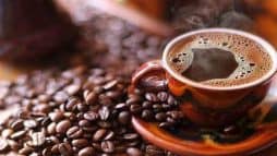 أمراض الكلى watanserb.com