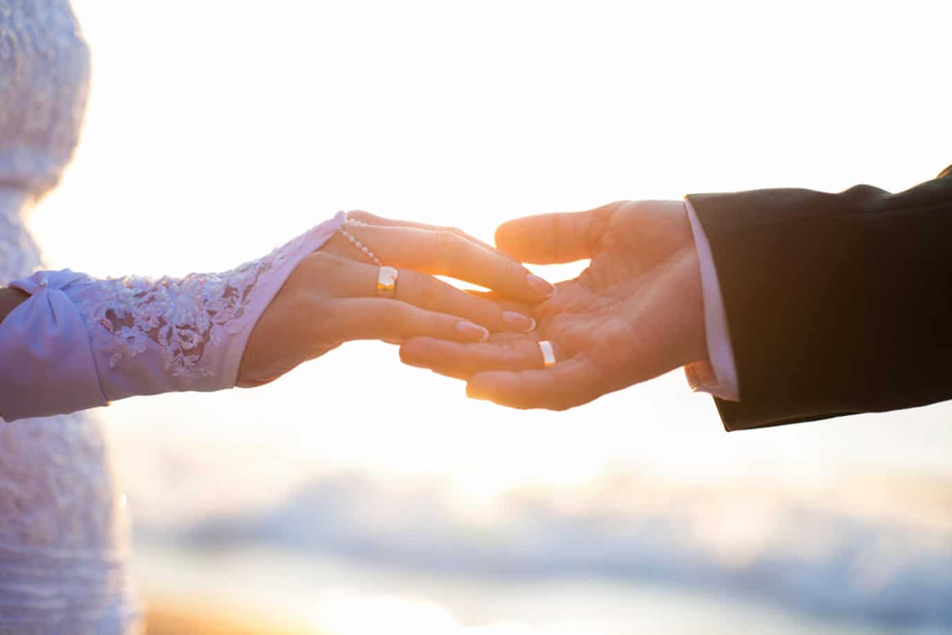 اللاذقية watanserb.com