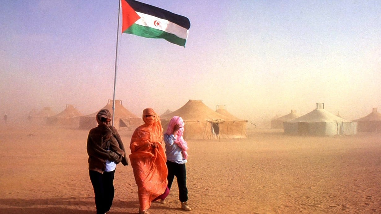هيومن رايتس ووتش تؤكد أن المغرب يقيد بشدة أنشطة الصحراويين watanserb.com