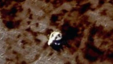 جسم غريب تم اكتشافه فوق صخور القارة القطبية الجنوبية watanserb.com