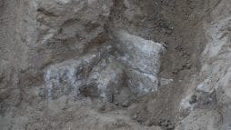 اكتشاف مقبرة أثرية تعود للحقبة الرومانية في مدينة بيت لاهيا شمال قطاع غزة watanserb.com