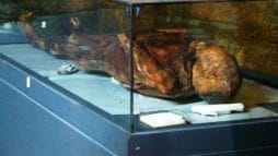 اغتيال قائد لواء التوحيد عبد القادر الصالح منذ 3 أعوام ارتبط باكتشاف مومياء يبلغ عمرها حوالي 3000 سنة watanserb.com