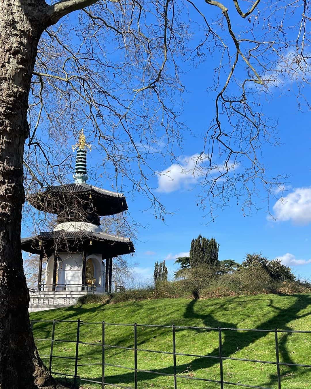 مايا رعيدي تمارس اليوغا