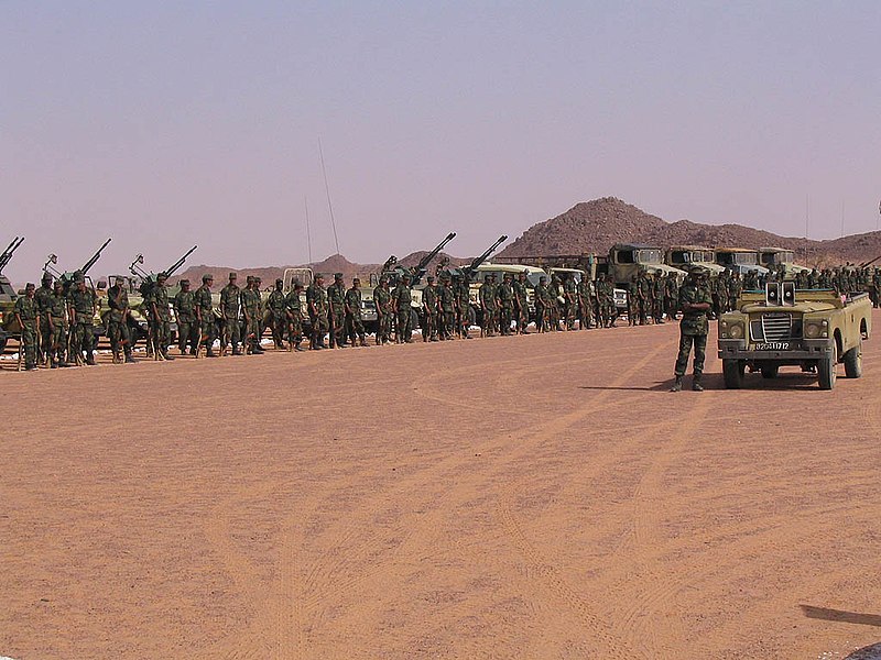الجيش المغربي في الصحراء الغربية watanserb.com