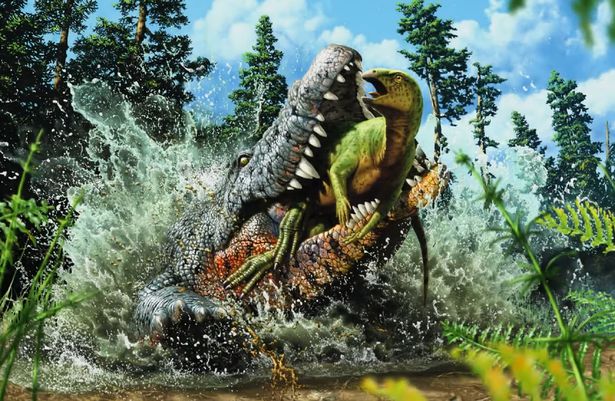 العثور على تمساح مع ديناصور صغير في معدته watanserb.com