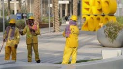 انتهاكات حقوق العمال في إكسبو دبي watanserb.com