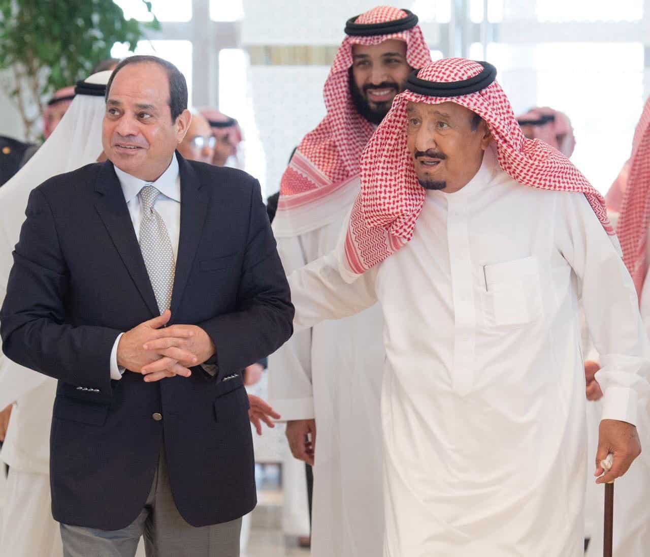 لقاء السيسي وابن سلمان watanserb.com