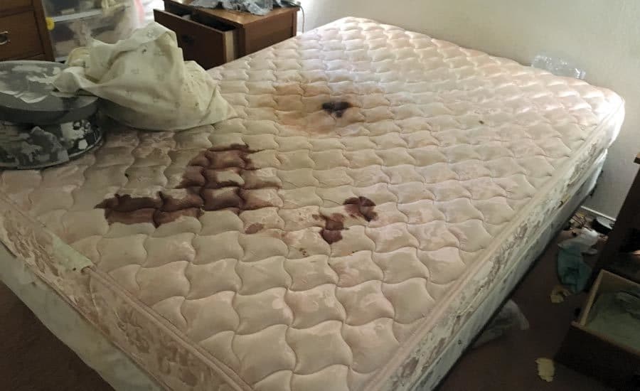 سورية تقتل زوجها أثناء نومه بالاشتراك مع شقيقها watanserb.com