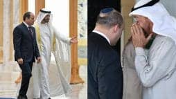 قمة بين السيسي ومحمد بن زايد وبينيت في شرم الشيخ watanserb.com