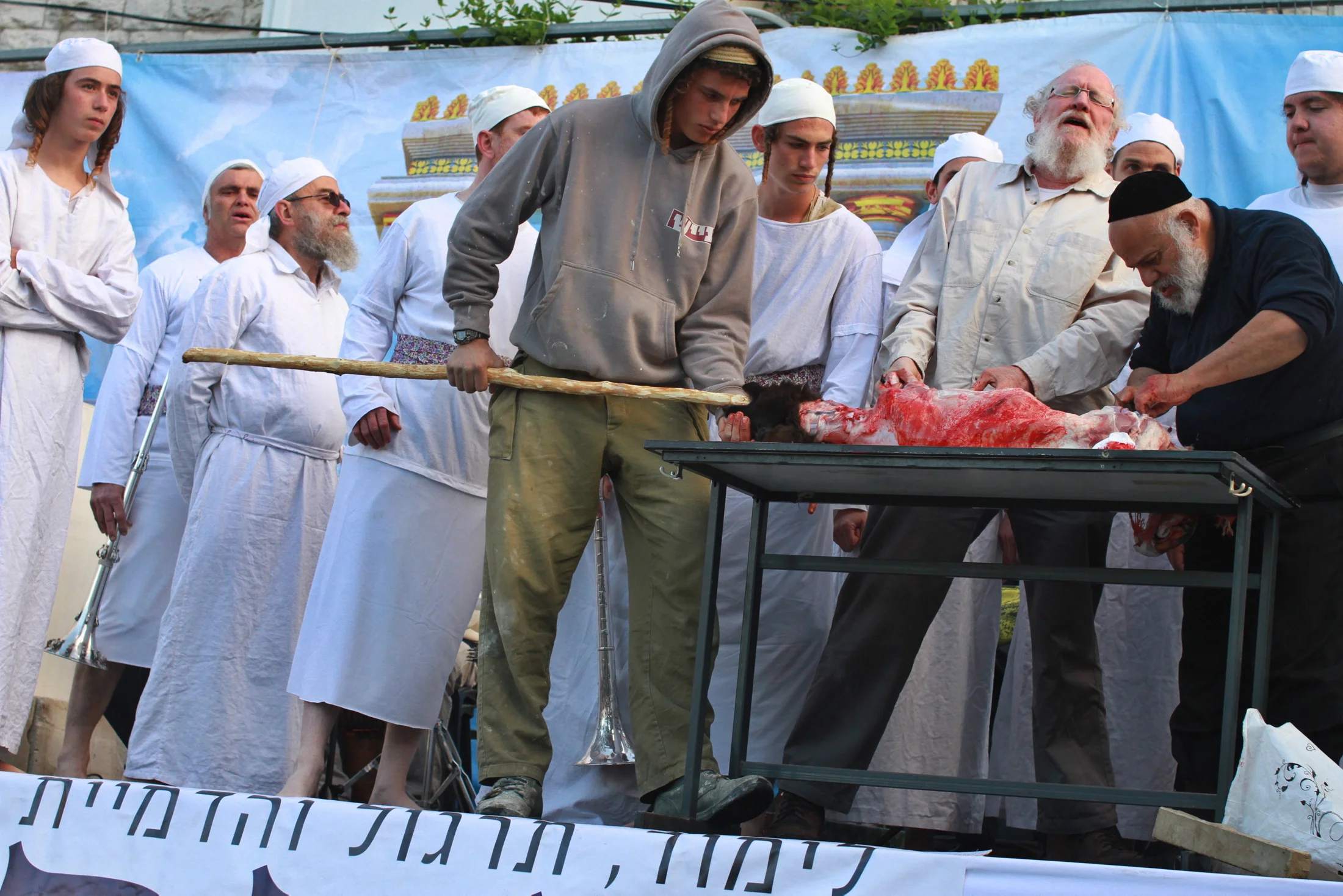 ذبح القرابين المسجد الاقصى watanserb.com