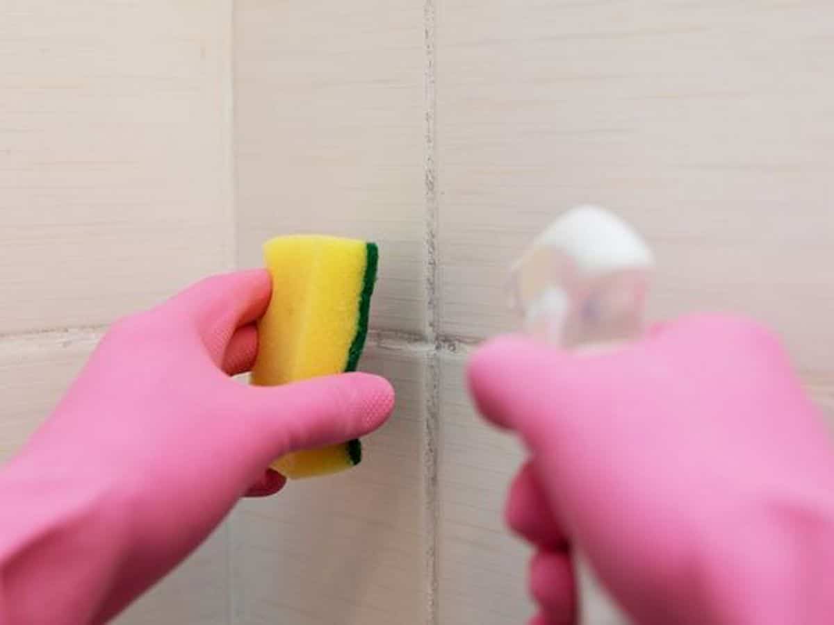 حيلة سهلة لإزالة العفن من الجدران تكشفها خبيرة تنظيف watanserb.com