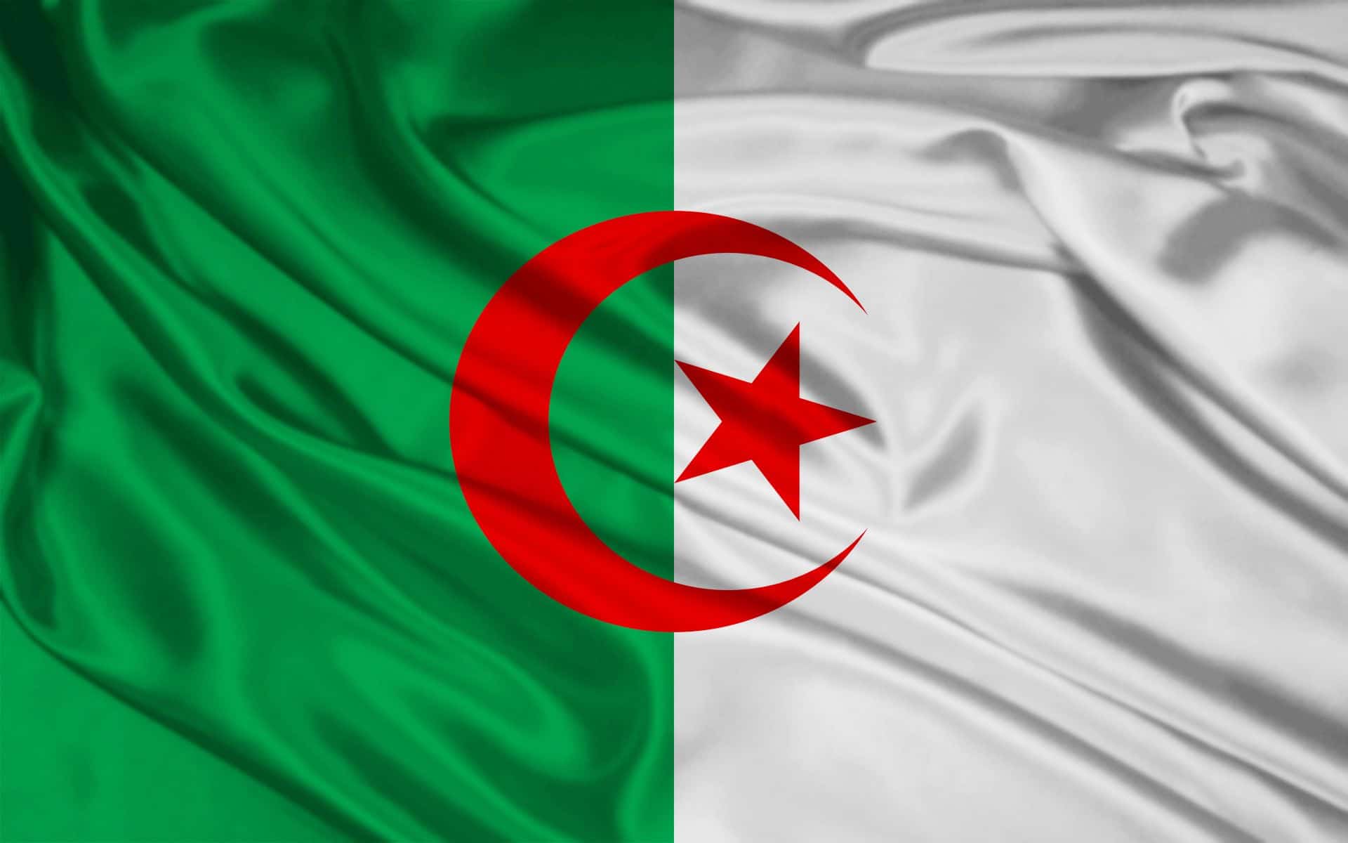 موقف الجزائر من مجلس القيادة الرئاسي watanserb.com
