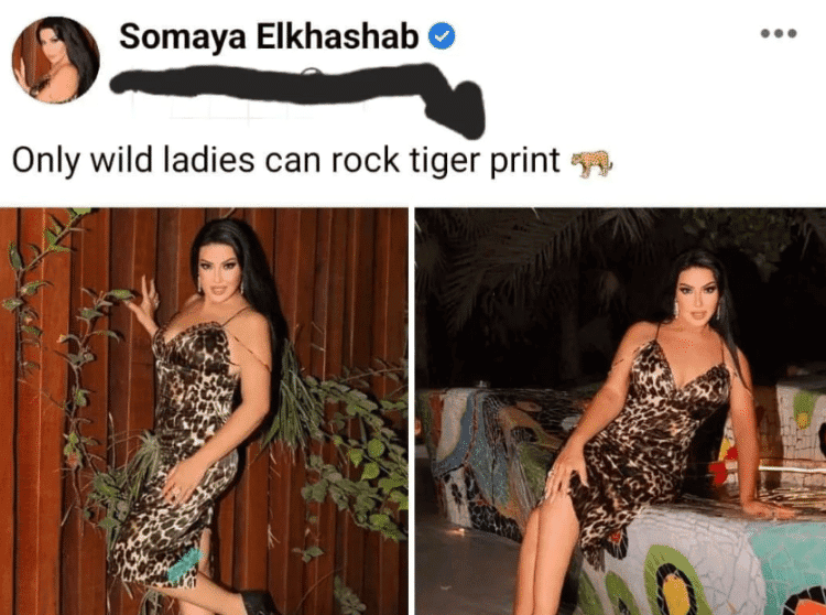 تريند التايجر