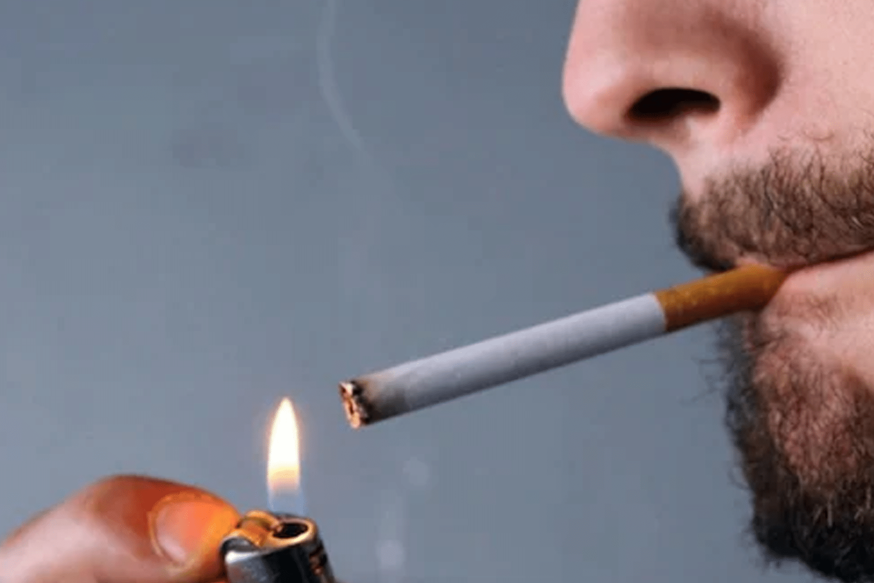حظر سجائر النعناع watanserb.com