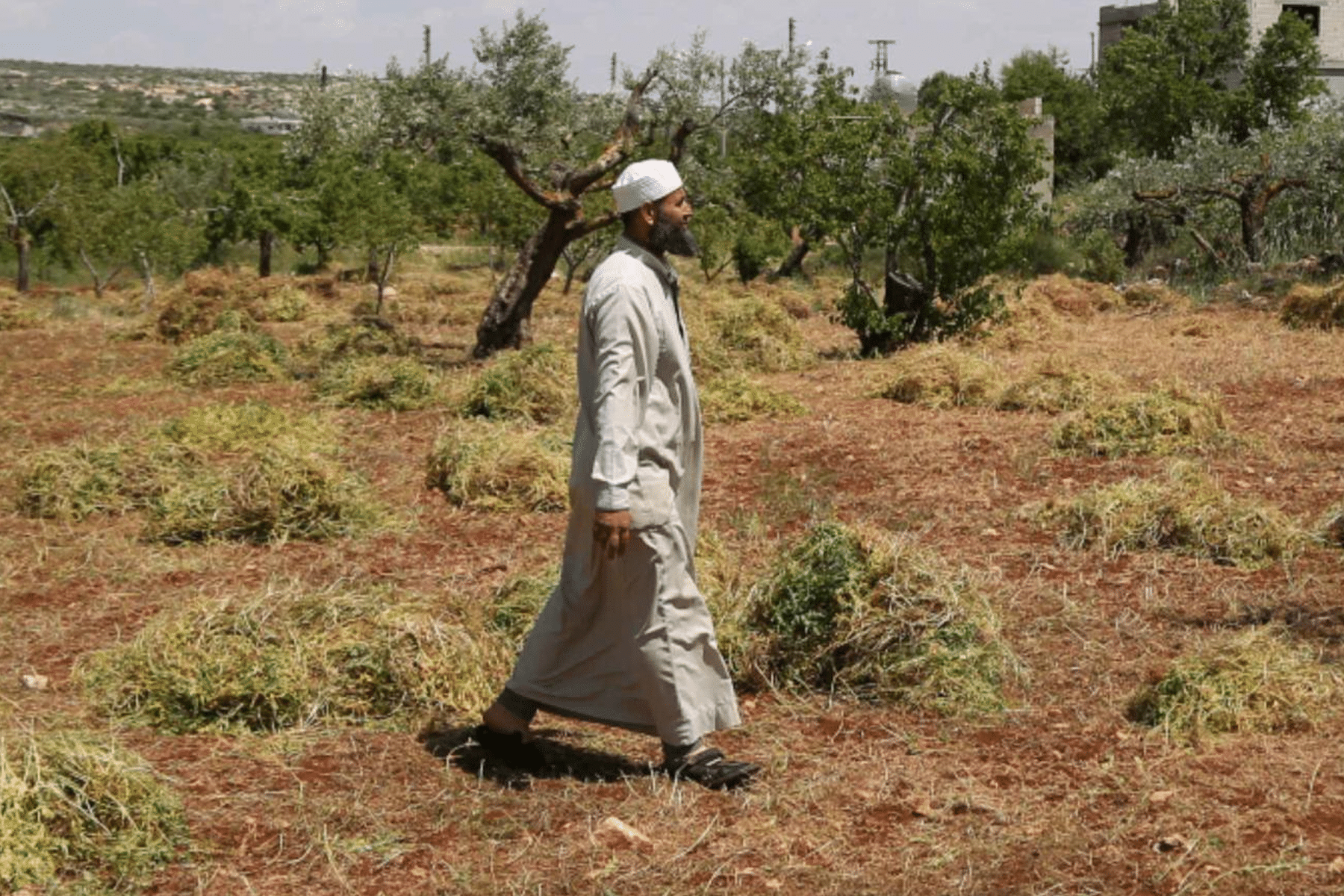 دمار الأراضي الزراعية في سوريا watanserb.com
