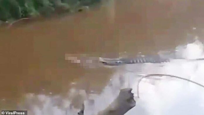 تمساح يسحب جثة مشوهة بعد انقضاضه على صياد وسحبه إلى النهر! watanserb.com