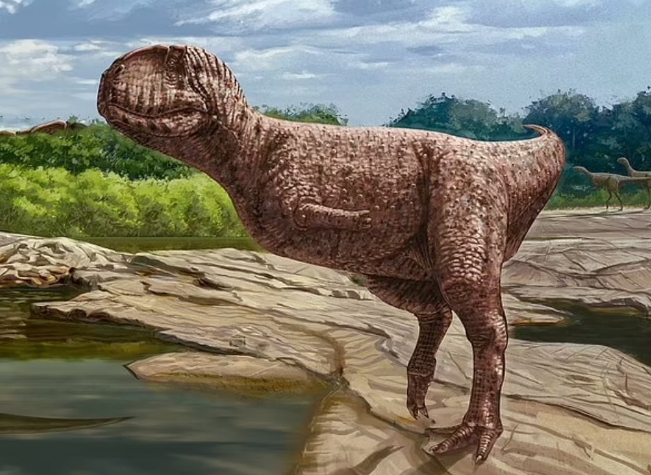 العثور على حفرية ديناصور مرعب عاش في مصر قبل 98 مليون عام watanserb.com