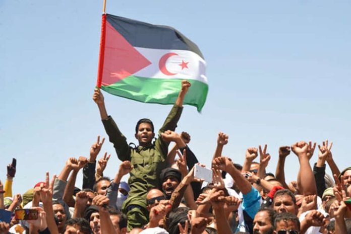 الجزائر تعترف بمغربية الصحراء watanserb.com