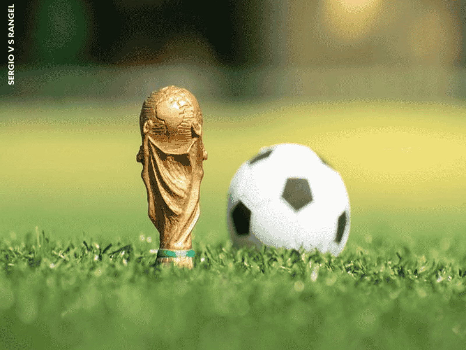 كأس العالم 2022 watanserb.com