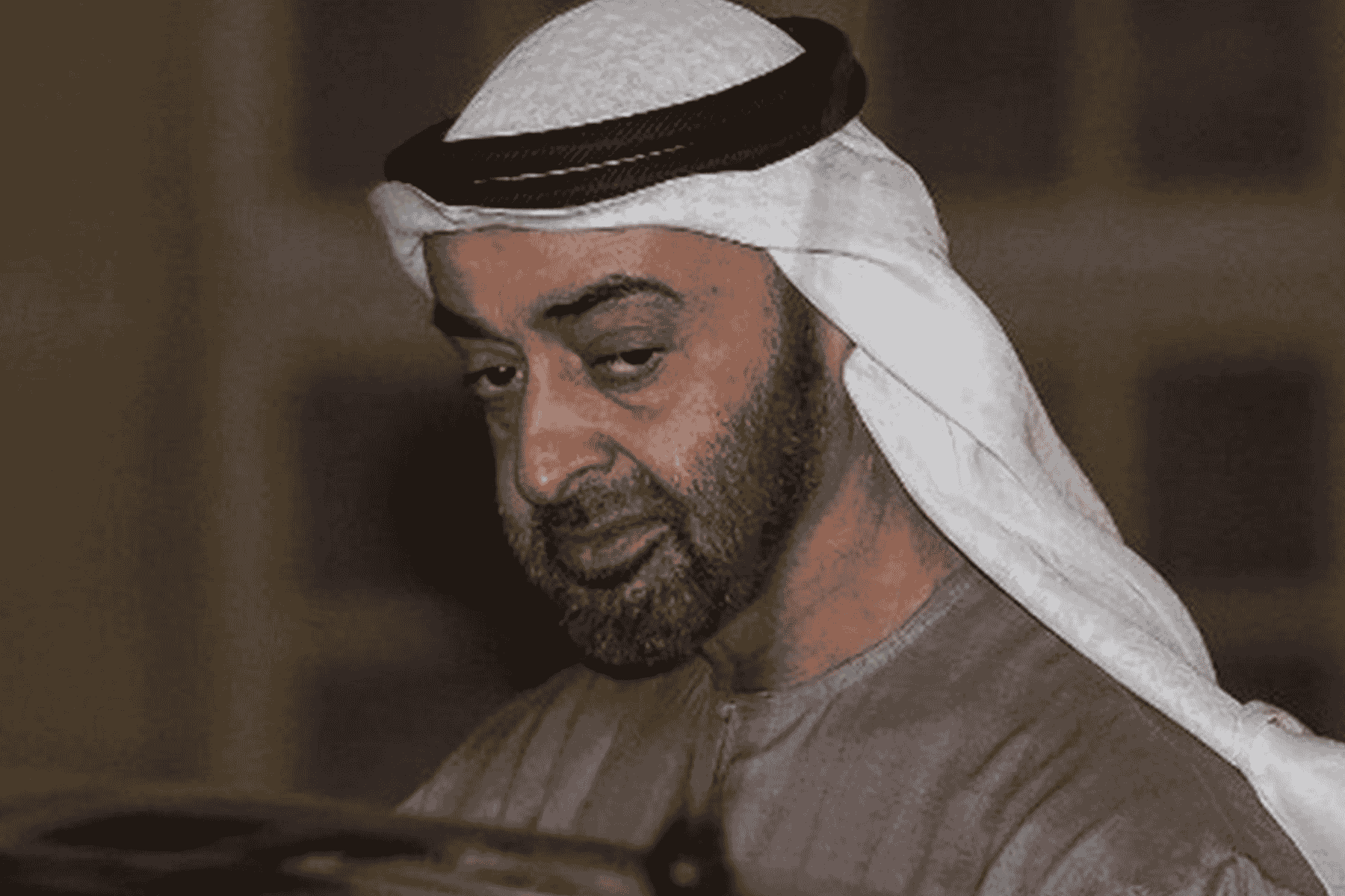 محمد بن زايد watanserb.com