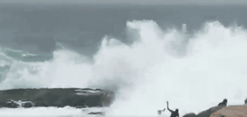 انجراف عائلة آسيوية watanserb.com