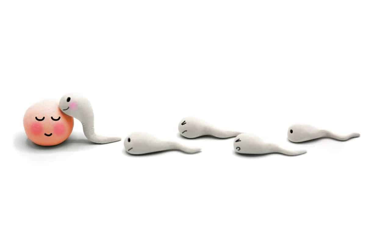 انخفض عدد الحيوانات المنوية بنسبة خمسين بالمائة في السنوات الأربعين الماضية