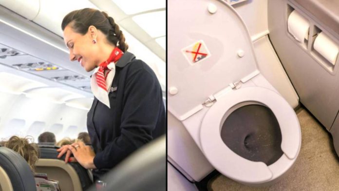 مضيف طيران يكشف أقذر زر في حمام الطائرة ويحذر الركاب من لمسه watanserb.com