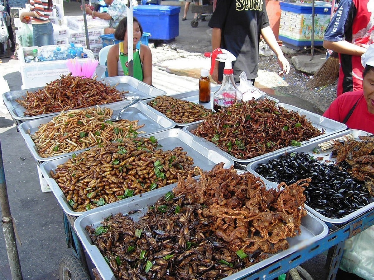 أكثر من ألفي نوع من الحشرات يمكن للبشر أكلها