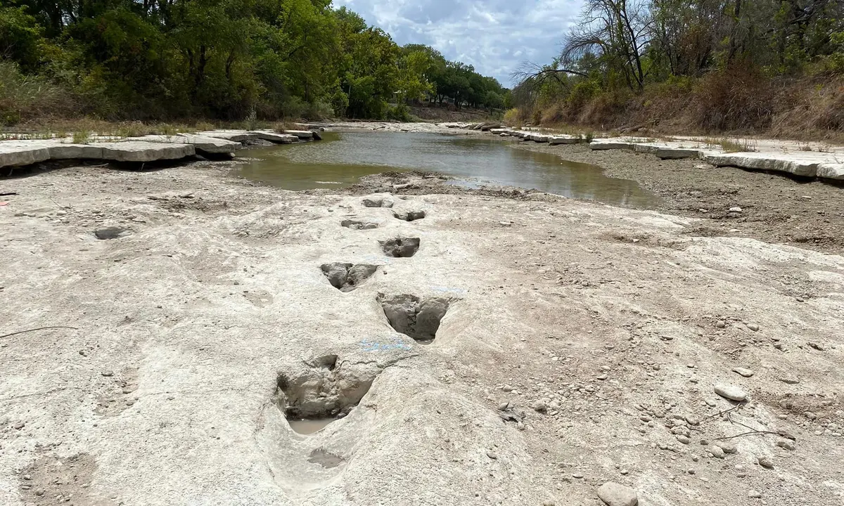 اكتشاف آثار أقدام ديناصورات عمرها 113 مليون عام في تكساس (صور) watanserb.com